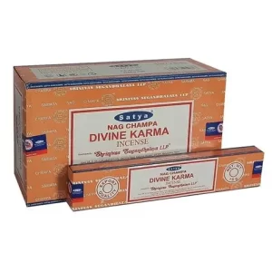 Divine Karma
