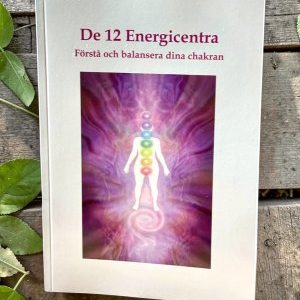 De 12 Energicentra