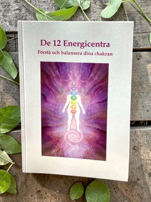 De 12 Energicentra